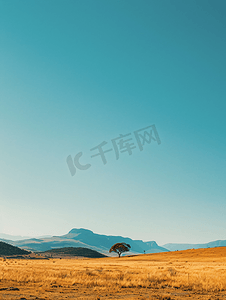 花绘画摄影照片_南非高地的风景