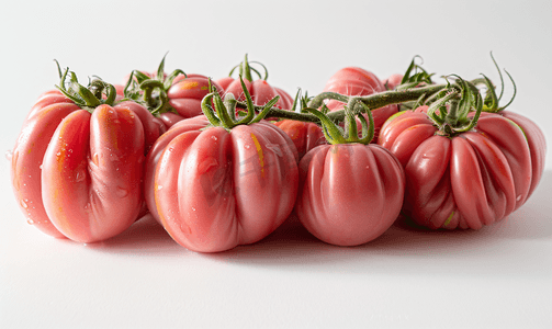 未转可修改摄影照片_天然粉红色番茄白色隔离生长