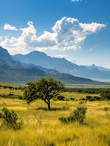 南非高地的风景