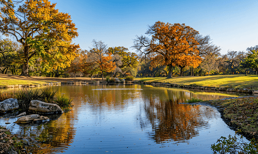 金色图形摄影照片_秋天德克萨斯州池塘的水平图像
