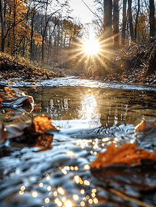 秋天美腿摄影照片_深秋的清晨阳光反射在小溪中