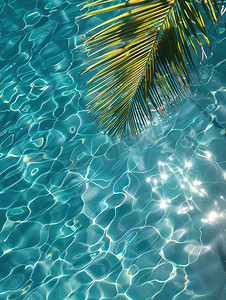 棕榈叶透明热带水纹理图片