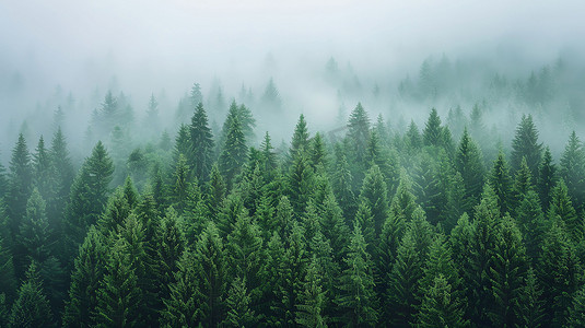 青山绿树雾气自然摄影照片