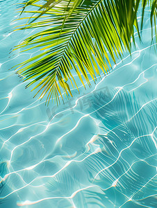 棕榈叶透明热带水纹理高清图片