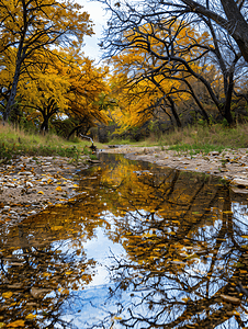风景秋天摄影照片_德克萨斯州一条缓缓流淌的小溪倒映着深秋的风景