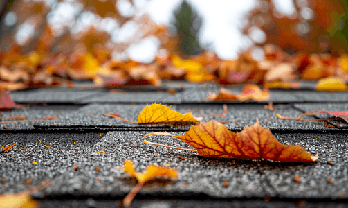 屋顶摄影照片_屋顶上有很多秋叶