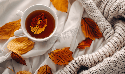 舒适的秋季组合毛衣天气特洛叶热茶和毛衣