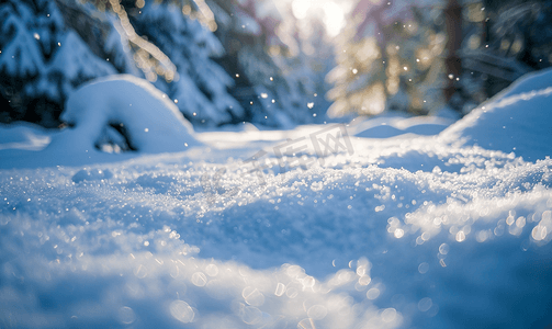 森林里融化的雪