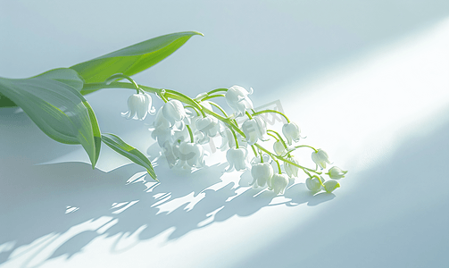 百合摄影照片_五月铃兰的白色花朵