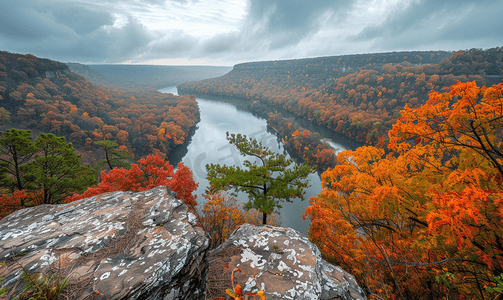 库珀斯岩州立公园俯瞰西弗吉尼亚州的奇特河秋天的色彩