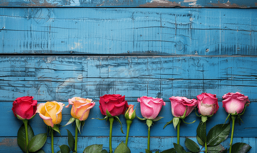 蓝色花束摄影照片_蓝色木质背景上的彩色玫瑰选择性焦点
