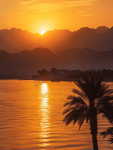 太阳黄色光线摄影照片_埃及西奈半岛沙姆沙伊赫红海山上的日落