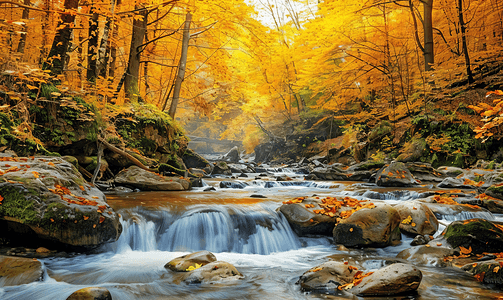 秋天的溪流和河流
