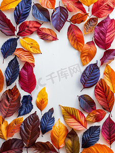园形边框水彩水墨摄影照片_彩色明亮的叶子孤立在框架中的白色背景上