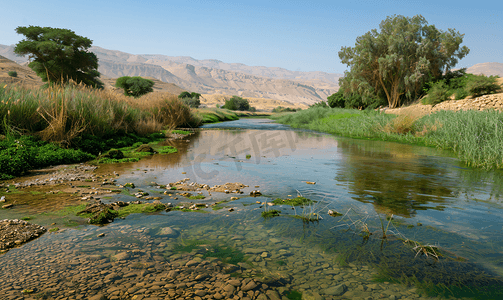 巴勒斯坦摄影照片_约旦洗礼场附近的约旦河
