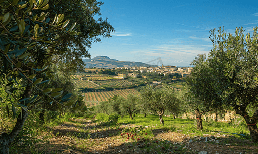 透过西西里岛的橄榄园和桃园欣赏阿格里真托镇的景色