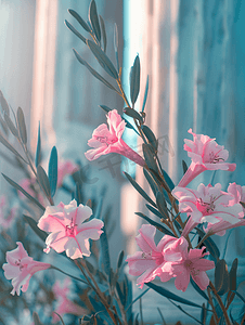 红色花边天安门摄影照片_古老的多利安柱附近的夹竹桃花