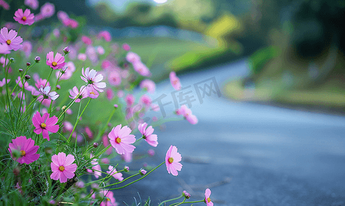 路边风景摄影照片_路边的绿草和粉红色的花朵