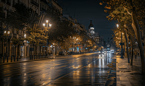 西班牙马德里的夜晚街道