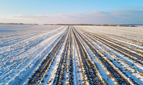 冬季犁过的田地白雪覆盖的田地从顶部看