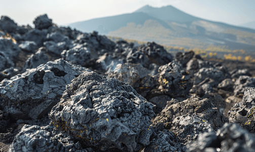 背景为埃特纳火山的硬化熔岩