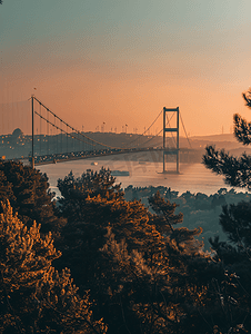 安托内利卡通摄影照片_从卡姆利卡山看伊斯坦布尔博斯普鲁斯海峡大桥