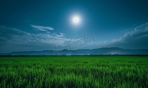 千库绿色摄影照片_月夜笼罩着绿色的田野