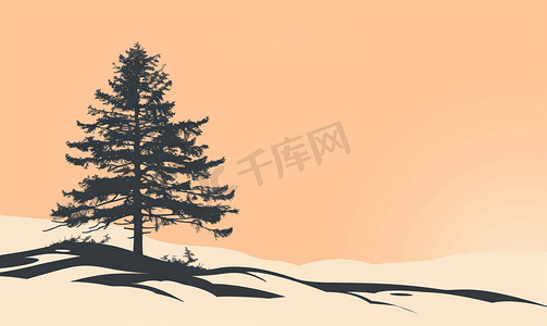 重回巅峰摄影照片_山上雪上孤立的松树剪影