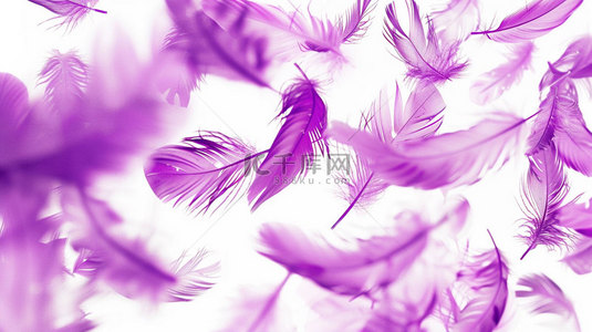 创意紫色背景图片_紫色羽毛简约合成创意素材背景