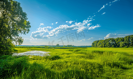 法国布里埃尔沼泽的绿色海岸