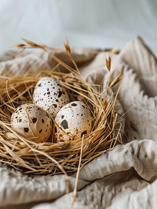 复活节鹌鹑蛋躺在稻草巢里