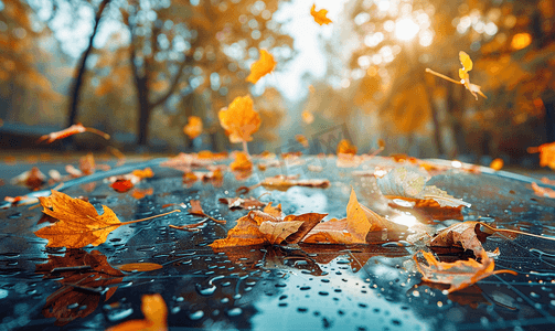 秋天汽车挡风玻璃上有很多秋叶
