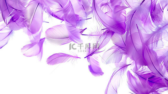 紫色羽毛简约合成创意素材背景