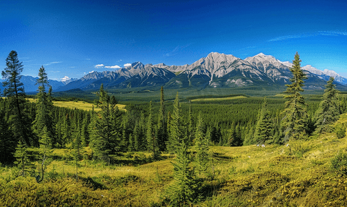 伯夫摄影照片_加拿大落基山脉全景景观