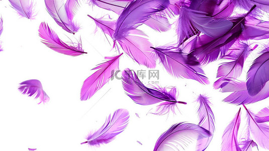 紫色羽毛简约合成创意素材背景