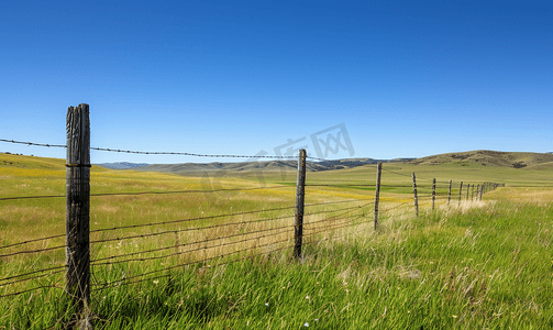 农业摄影照片_绿草地和干燥地区带刺铁丝网的柱子围栏限制了土地