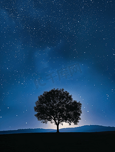 插图树摄影照片_月光和星空中的树剪影