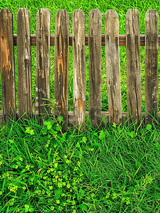 树木绿草摄影照片_在绿草背景的旧木篱芭