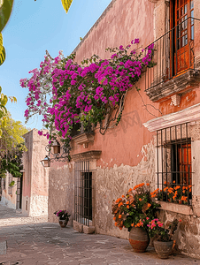 墨西哥克雷塔罗有窗户和九重葛花的乡村街道