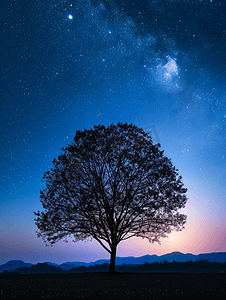 插图树摄影照片_月光和星空中的树剪影