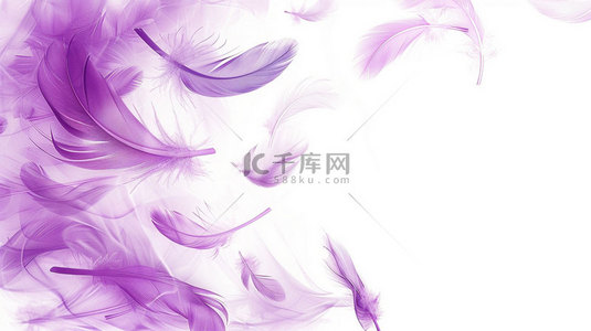 创意简约素材背景图片_紫色羽毛简约合成创意素材背景
