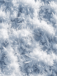 圣诞节图案摄影照片_特写雪和冬季霜冻图案
