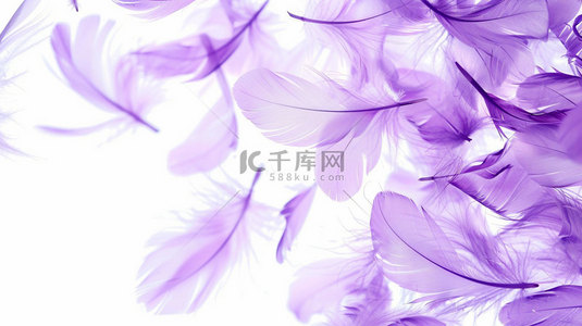 创意简约素材背景图片_紫色羽毛简约合成创意素材背景