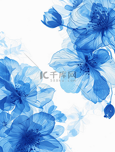 美容夏季背景图片_背景与蓝色的花朵