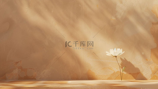 鲜花墙背景背景图片_白墙鲜花简约合成创意素材背景