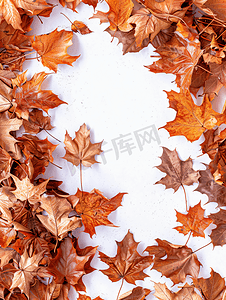 五彩斑斓的叶子摄影照片_两面框架由五彩斑斓的秋叶组成