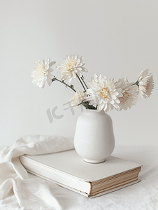 白桌上花瓶中插着菊花的白皮书模型