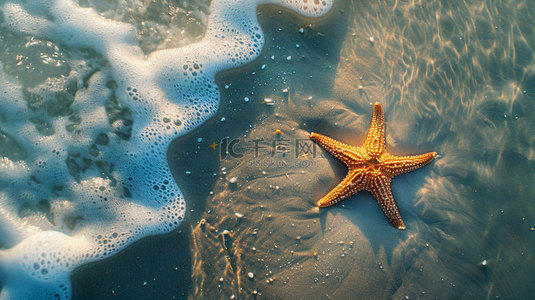 海浪海滩海星合成创意素材背景