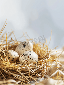 鹌鹑蛋PNG摄影照片_复活节鹌鹑蛋躺在稻草巢里