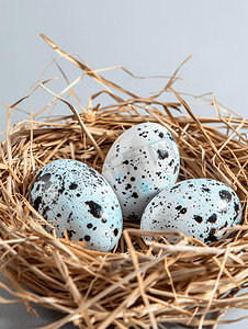 复活节鹌鹑蛋躺在稻草巢里